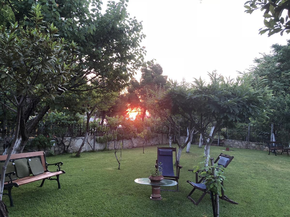 Villa Maira 아피토스 외부 사진